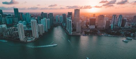 Image result for Miami Coin