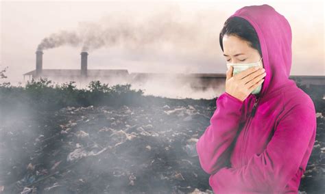 Toxic chemicals from car exhaust, smoking and grilling increase risk of ...