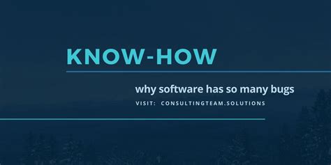 Image result for How to Fix Software Bugs