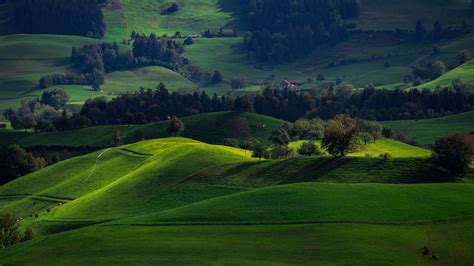 Download wallpaper 2560x1440 valley, green, field, hirzel, switzerland ...
