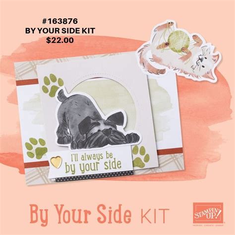 Stampin Up Card Tutorials 的图像结果