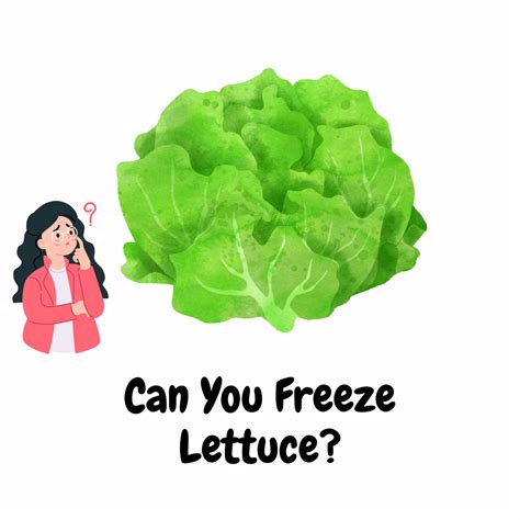 Chilled Crispness: Can You Freeze Lettuce?