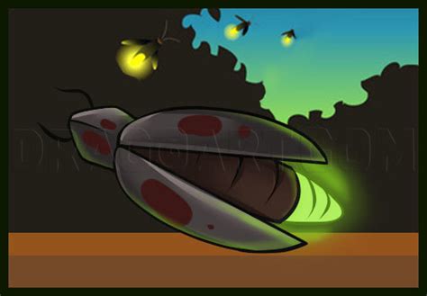 How To Draw A Firefly, Step by Step, Drawing Guide, by Dawn - DragoArt