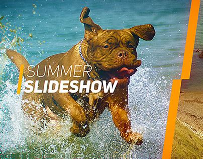 Slideshow Gallery Models 的图像结果