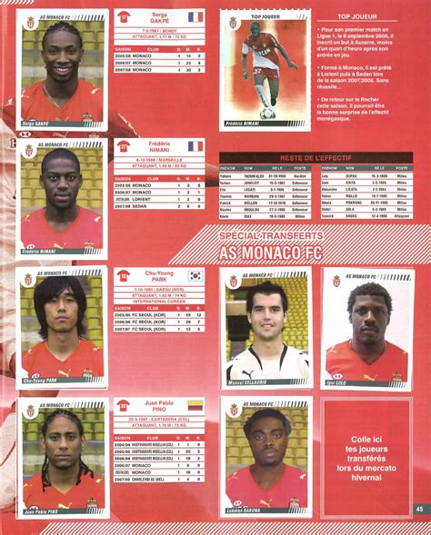Panini FOOT 2008-2009 Complete Album - Soccer Stickers FC