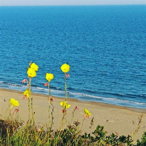 THE ROWANS (New Forest National Park Hampshire) - Specialty B&B Reviews ...