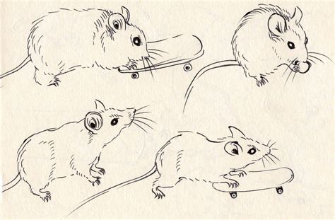 Mouse Drawing Reference and Sketches for Artists