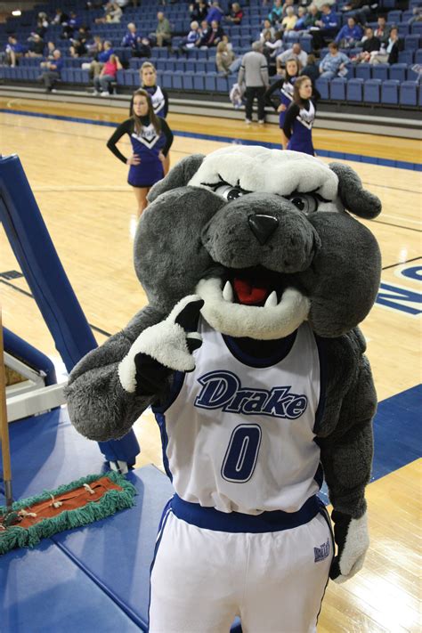 Spike, Drake | Mascot, Drake, Teddy bear