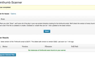 Image result for Timthumb Vulnerability Scanner