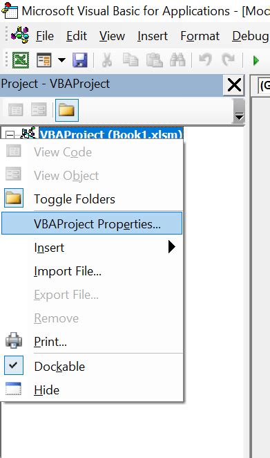 VBA Project Window Tutorial 的图像结果
