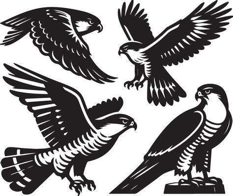 Image result for Hawk Pattern