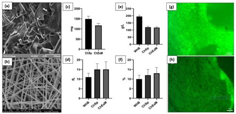 Chitosan-Based Biomaterials for Hemostatic Applications: A Review of ...
