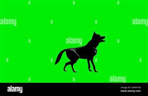 Wolves 1 Hour Loop 的图像结果