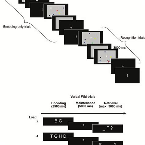 Image result for Visual Array