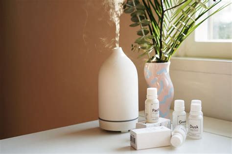 5 Best Rosemary Diffuser Blends Recipe - Make in Easy Steps – VedaOils