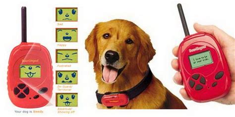 Dog Translator Machine 的图像结果