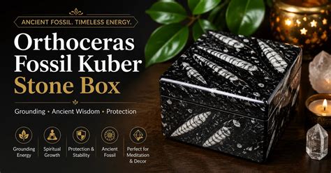 Orthoceras Fossil Kuber Stone Box: Benefits, Spiritual Meaning