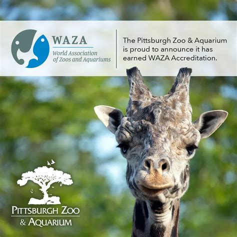 Pittsburgh Zoo & Aquarium Accepted as Member of World Association of ...