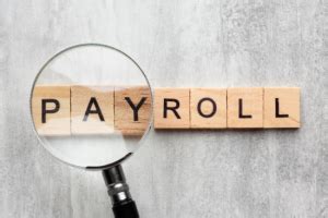 Payroll - PayGURU Technosoft