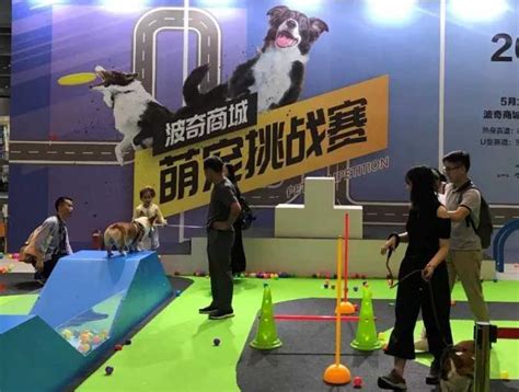 2023全球首场宠物展在港举办！_第11届深圳国际宠物用品展览会