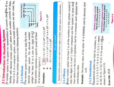 Number System Introduction 的图像结果