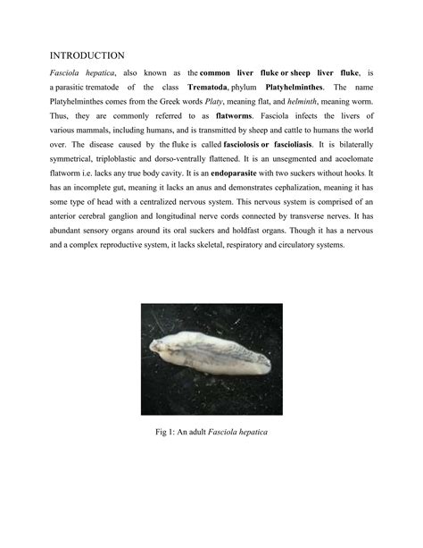Project report on Fasciola hepatica.docx