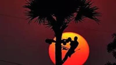 Telangana: Kids as young as 2 addicted to spiked toddy | India News ...