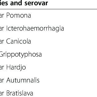 Microscopic agglutination test results | Download Table