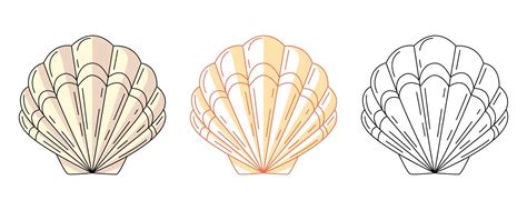 Image result for Shell Shape Outline