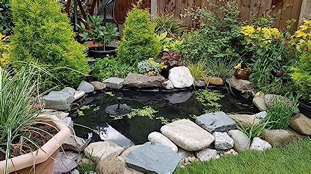 Butterfly Spanish Tutorial 的图像结果