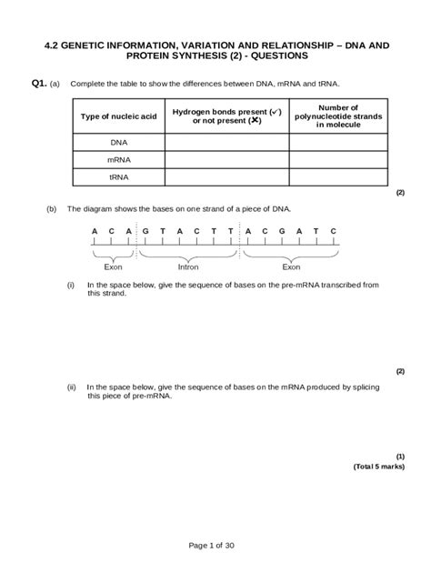 How to Read Genetic Code Table 的图像结果