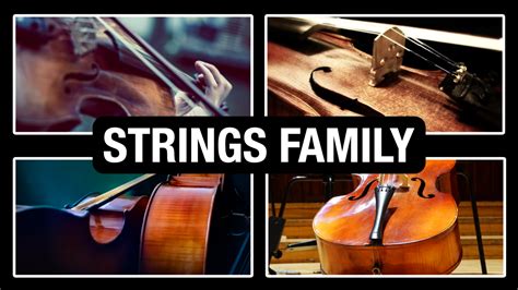 String Section Orchestra 的图像结果