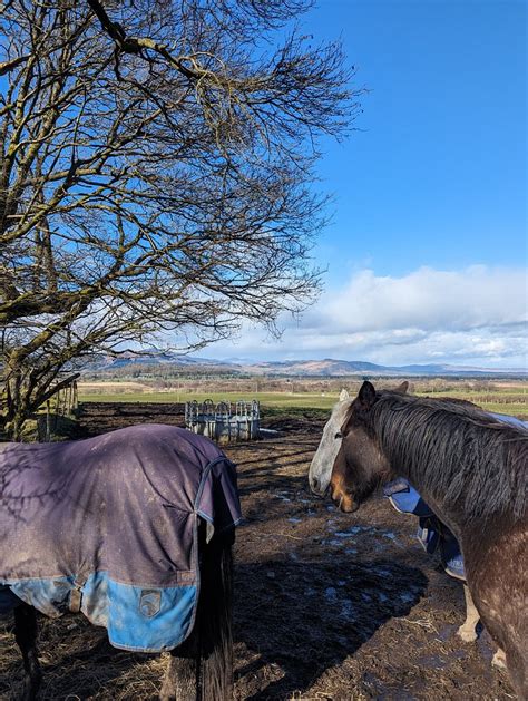 BENVIEW HOLIDAY LODGES (Balfron) - Lodge Reviews, Photos, Rate ...