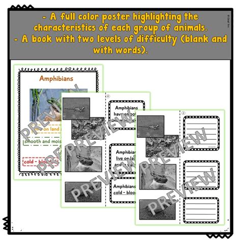 First Grade Science 的图像结果