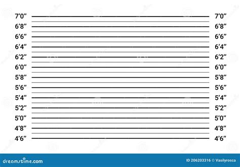 Police Lineup Mugshot Board. Mug Line Background Investigation Height ...