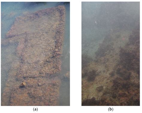 The Fish Tanks of the Mediterranean Sea