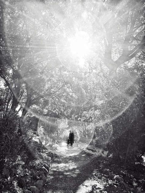 Image result for Random Object Photography