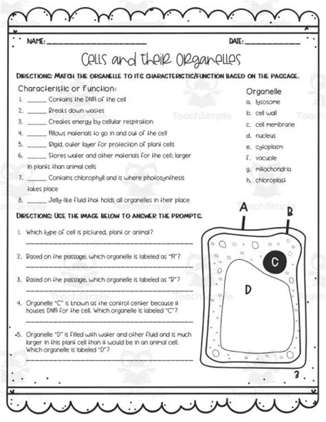 Worksheets Human Cell Structure 的图像结果