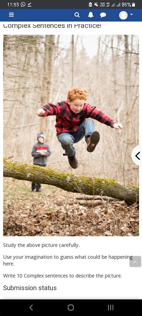 Write 10 Complex sentences to describe the picture (3rd person ...