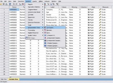 Chi square test with the help of SPSS