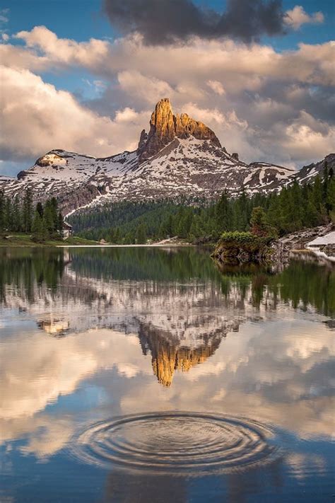 Belle Nature 的图像结果