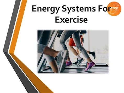 Image result for Understanding Energy Systems Exercise