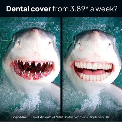 Thanks, I hate shark with human teeth. : r/TIHI