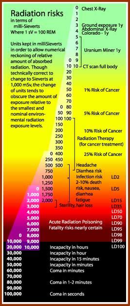 Radiation Levels Chart 的图像结果