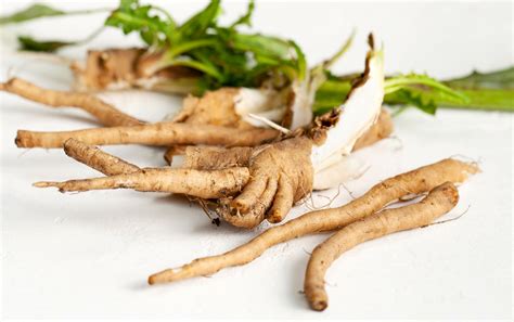 Why Fiber-Rich Chicory Root Is All the Rage