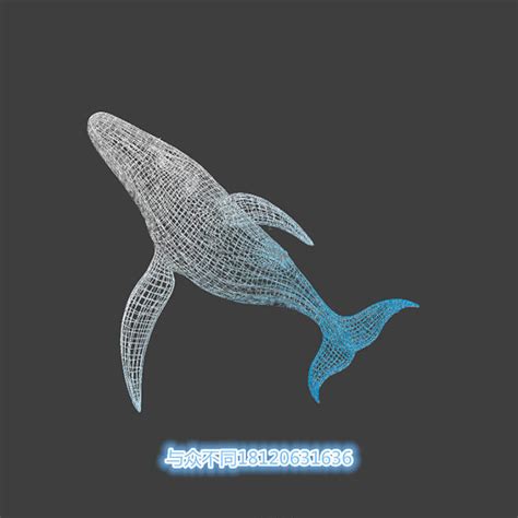 鲸鱼大型镂空雕塑不锈钢海豚网格编织海洋动物悬挂装饰铁艺摆件-淘宝网