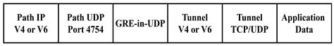 Performance Analysis of MPT-GRE Multipath Networks Under Out-of-Order ...
