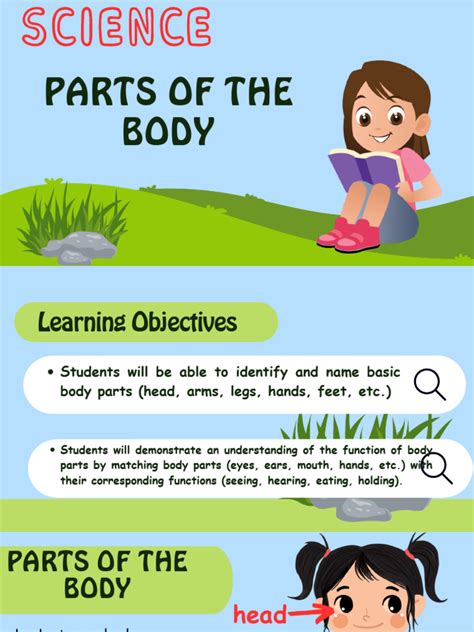 SCIENCE LESSON 2 PARTS OF THE BODY | PDF