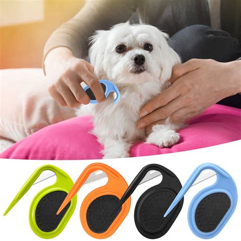 Dog Knotting Woman: A Story Of Passion And Controversy - Truth or Fiction