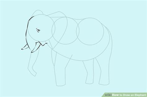 Elephant Drawing Step By Step at PaintingValley.com | Explore ...